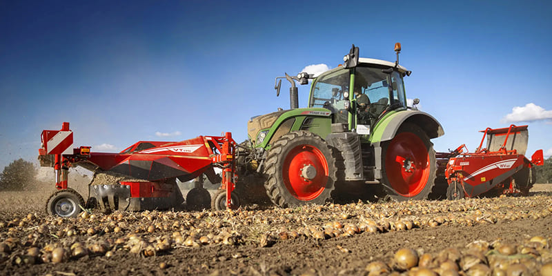 Фото Ботвоудалители для лука Grimme VT