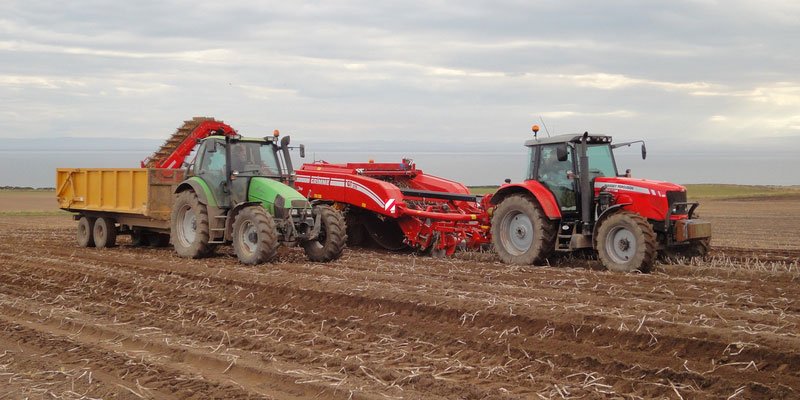 Фото Grimme GT 170