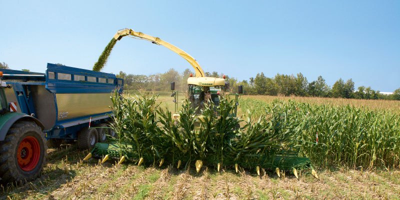 Фото Приставки для BiG X