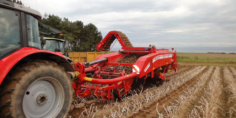 Фото Grimme GT 170