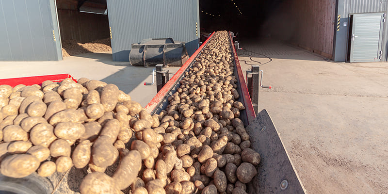 Фото Grimme SC 800