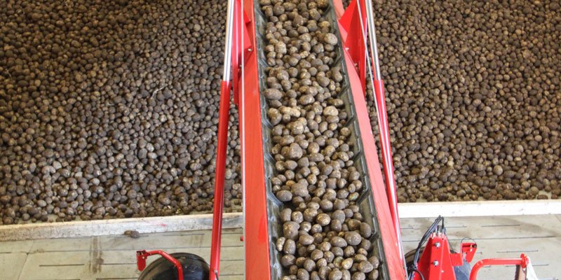 Фото Grimme SL 125/145