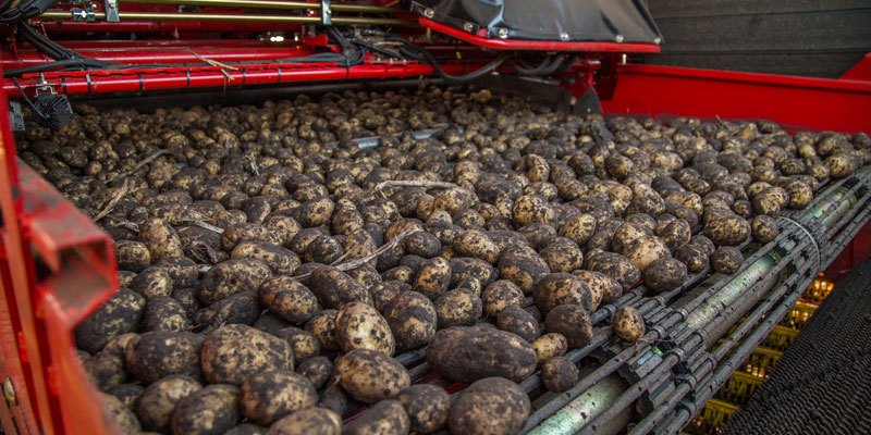 Фото VARITRON 470